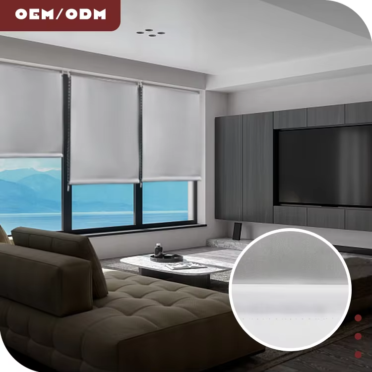 Modern Style Electric Roller Shades Blackout Window Blinds Bead Chain Customizable Size for Home Office Hotel Hospital Skylights