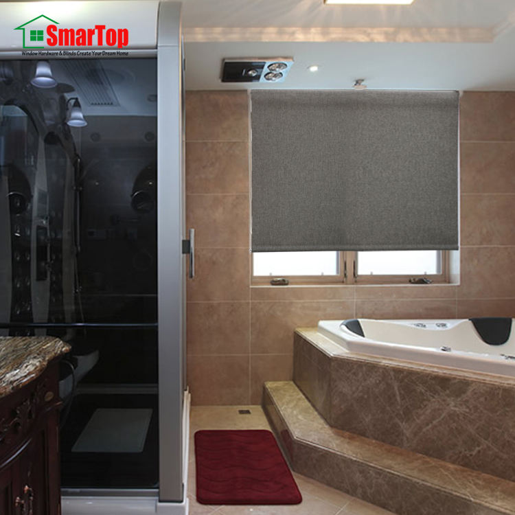 Manual Operation Polyester Roller Blind Day and Night Blackout Curtain for Home Window Shades & Shutters