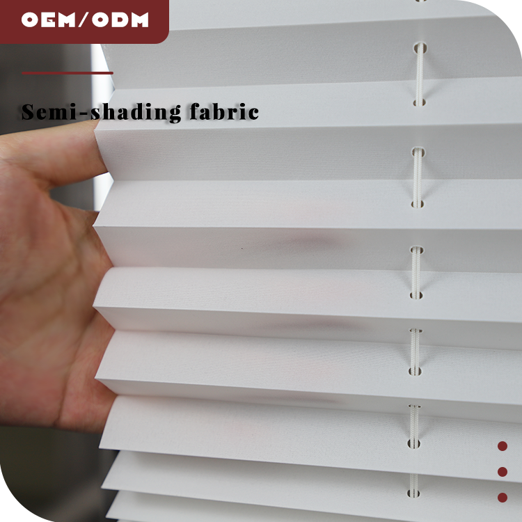 Custom Eco-friendly Pleated Blinds for Home Decoration Day&Night Shades Easy Fix Blinds Curtains in Custom Colors